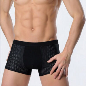 2162924055705 Ice silk men's underwear mesh boxer